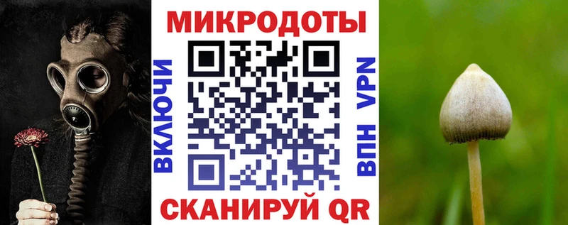 Галлюциногенные грибы Psilocybe Купить закладки Сланцы